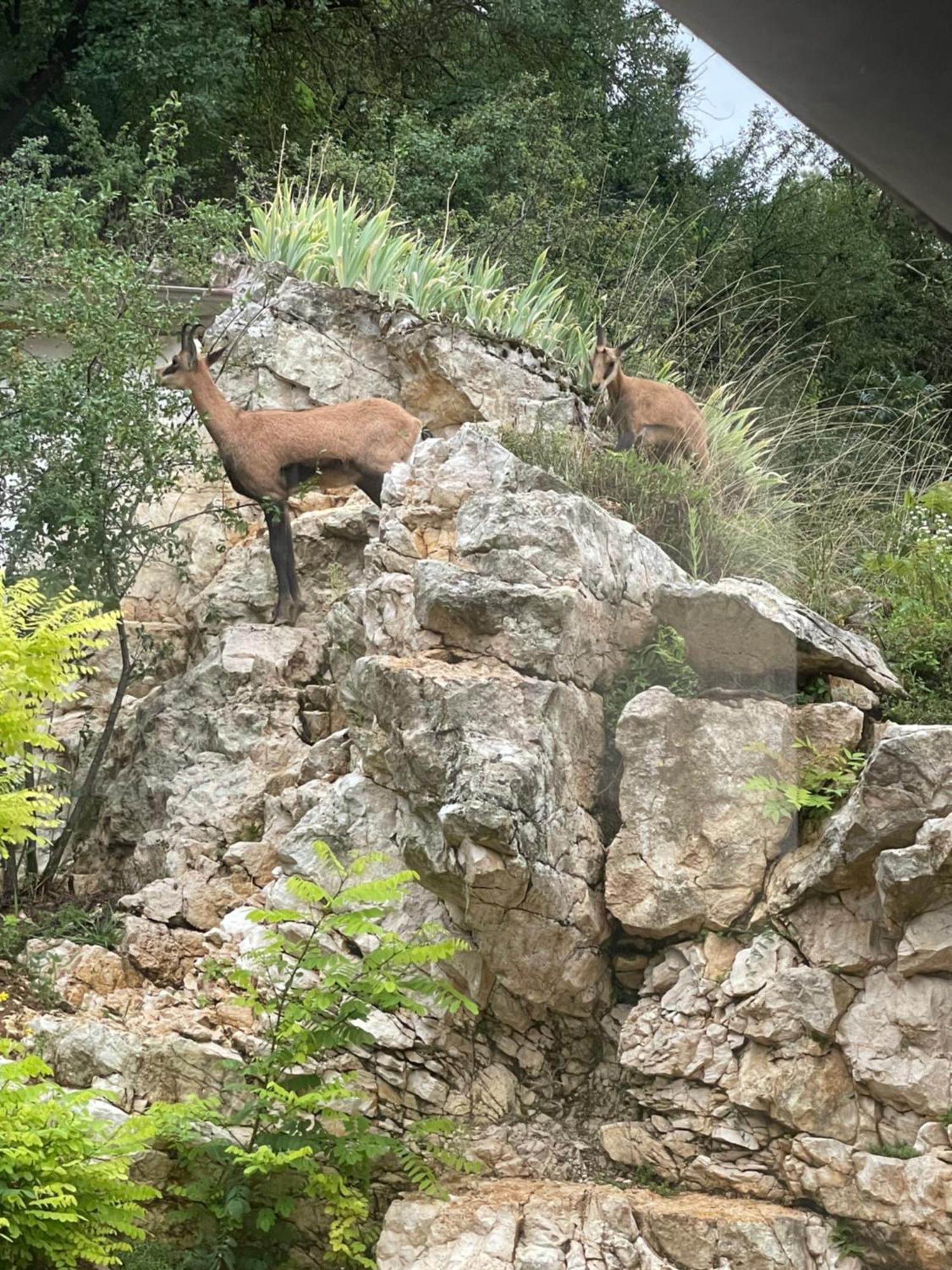 Maison Au Bord De L'Eau Les Roches Rochefort-sur-Nenon Luaran gambar