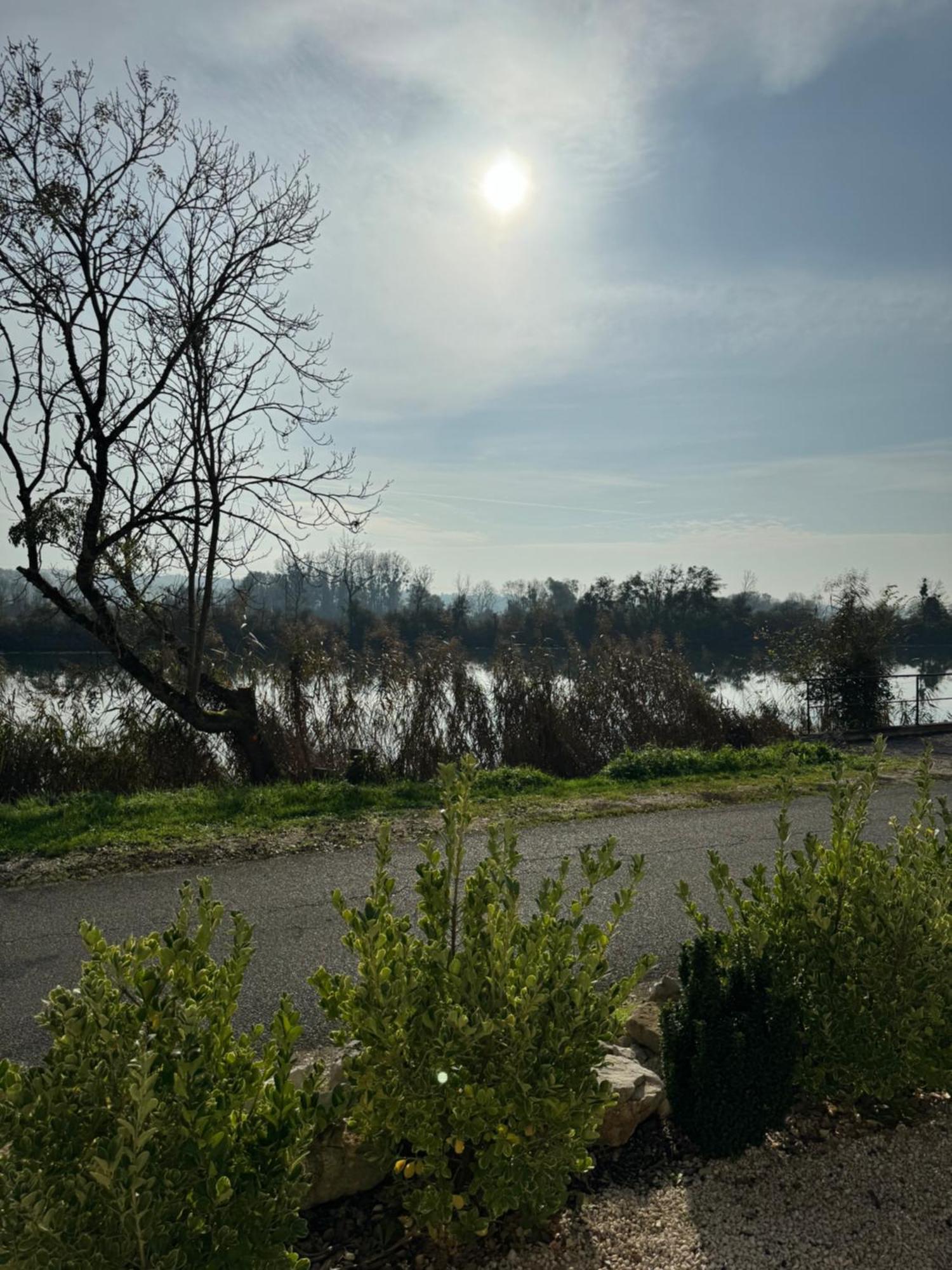 Maison Au Bord De L'Eau Les Roches Rochefort-sur-Nenon Luaran gambar